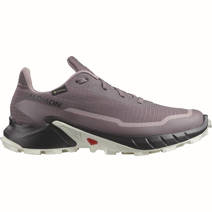 Salomon Alphacross 5 Gtx Kvinder / Damer, Moonscape/Blk/White-38 / Uk 5 - Vandresko
