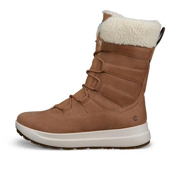 Ecco Solice Mid Wp Winter 200g Kvinder / Damer, Cashmere-37 - Vintersko, Vinterstøvler