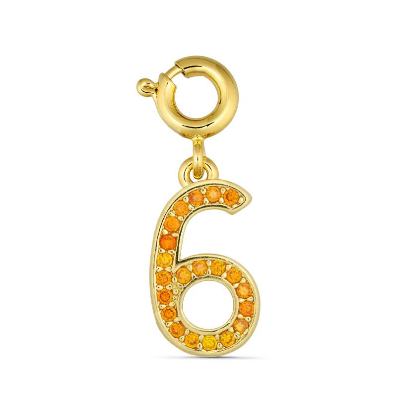 Annebrauner Number 6 Charm - Charms