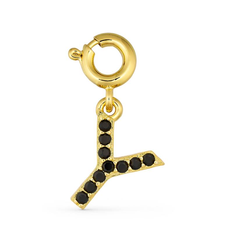Annebrauner Y Charm - Charms