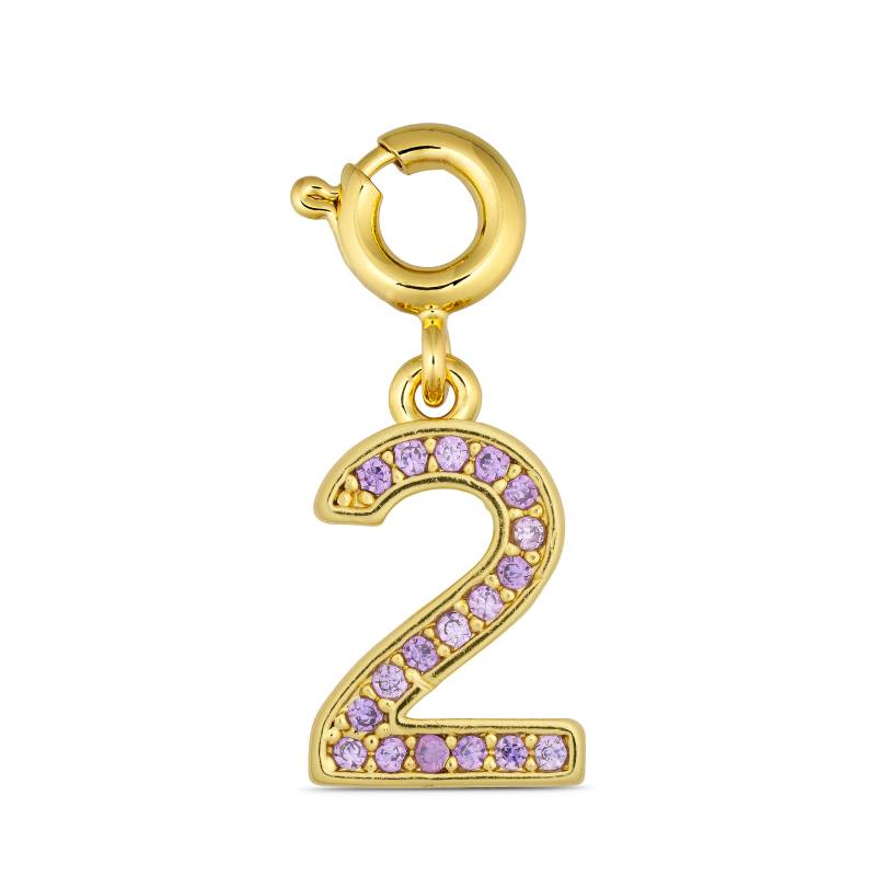 Annebrauner Number 2 Charm - Charms