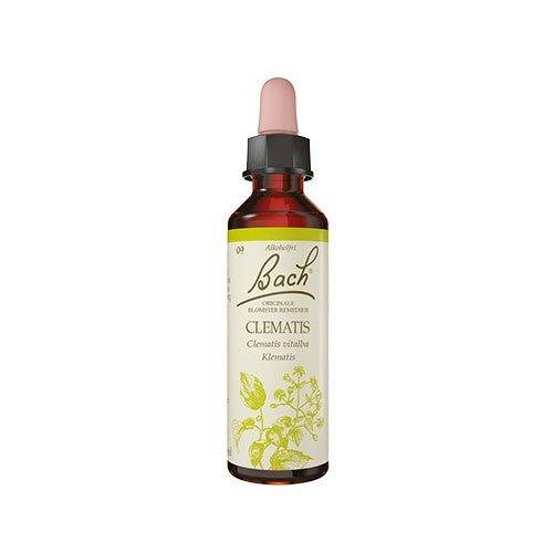 Bach Originale Blomsterremedier Bach Almindelig Skovranke