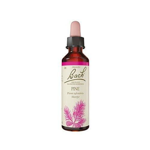 Bach Originale Blomsterremedier Bach Skovfyr
