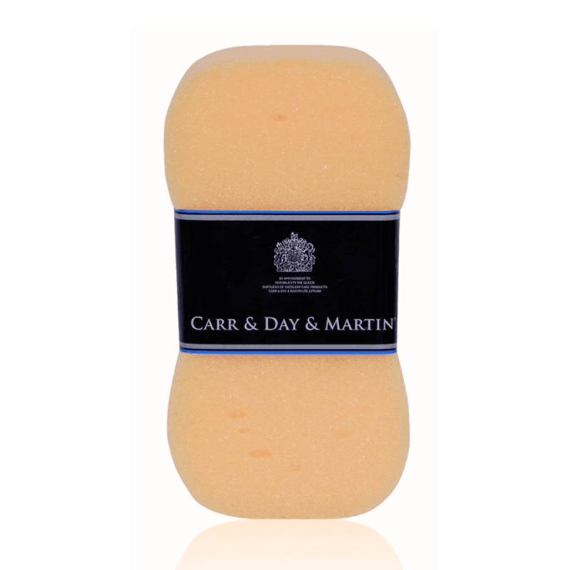 Cdm Orange Stor Svamp - Carr Day Martin