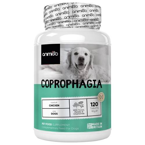 Coprophagia Til Hunde - Animigo
