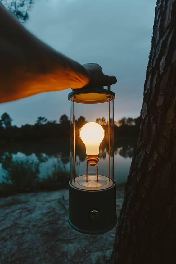 Tala The Muse Portable Bordlampe, Pleasure Garden