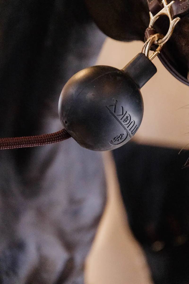 Kentucky Rubber Ball Protection (bold Til Beskyttelse)