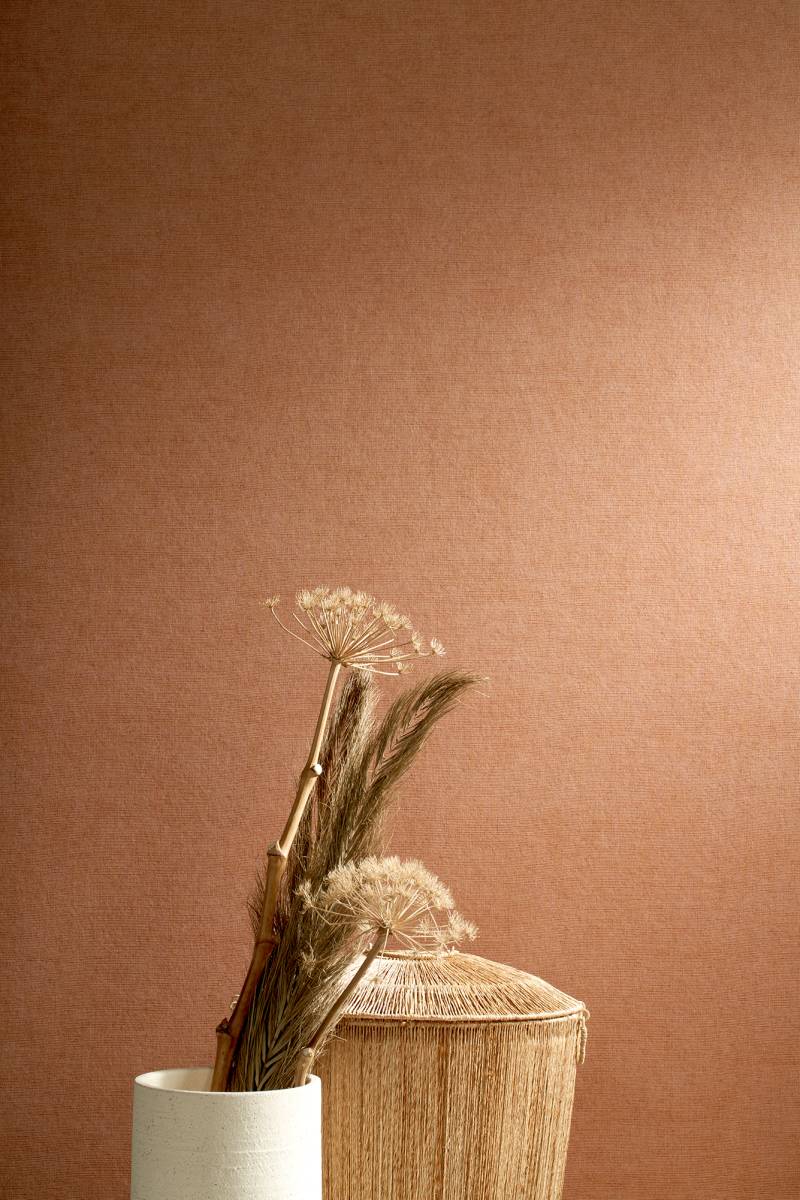 Tulle - Squash - Arte