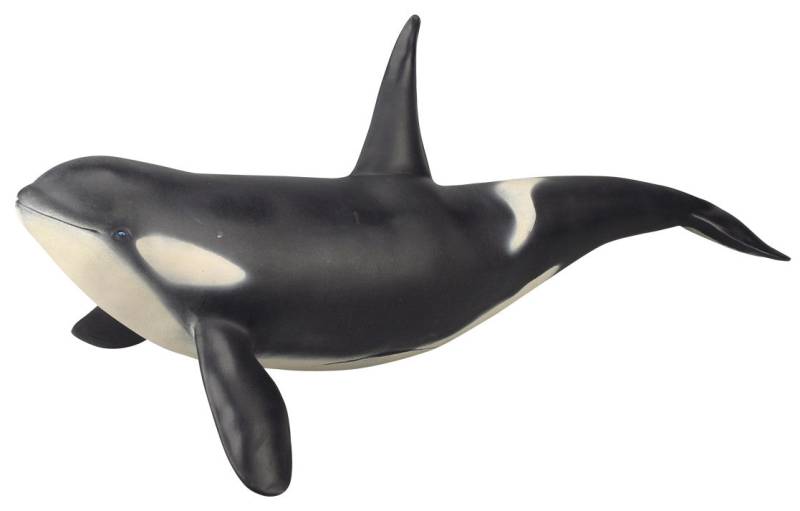 Spækhugger Legetøj 65cm - Realistisk Havdyr Figur Til Børn - Min Egen Verden.dk