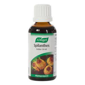 A. Vogel Spilanthes - 50 Ml.