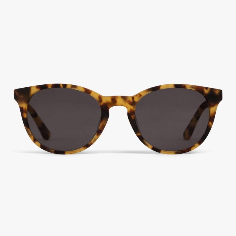 Solbriller +1.5 -Men's ã–rebro Light Turtle - Luxreaders