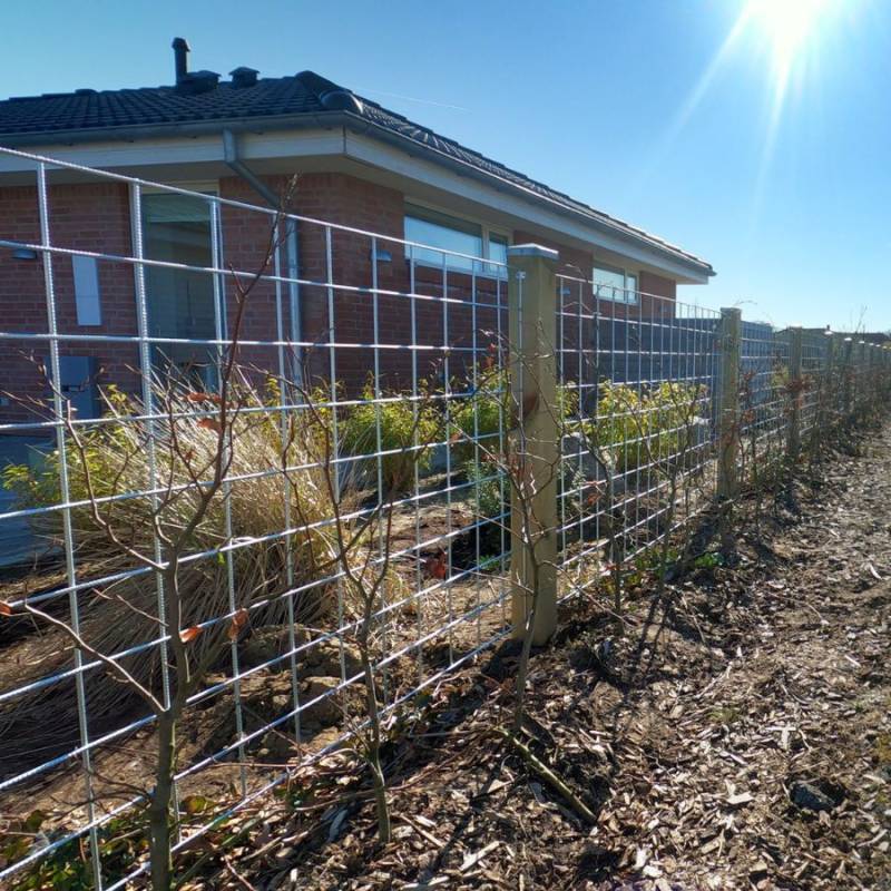 Espalier Rio Net Galvaniseret ø5 Mm 90x150 - Maske 10x10 Cm Incl. Beslag T/Montering - Nsh Nordic A/S