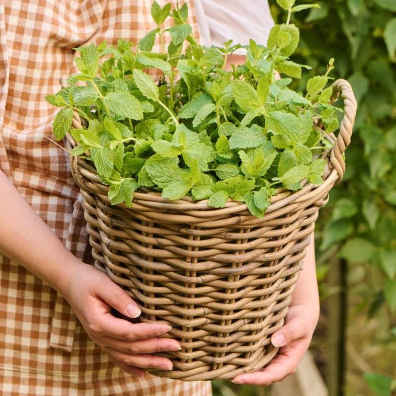 Kurv Konisk Rattan M/ Plast - Ib Laursen H: 31 Cm
