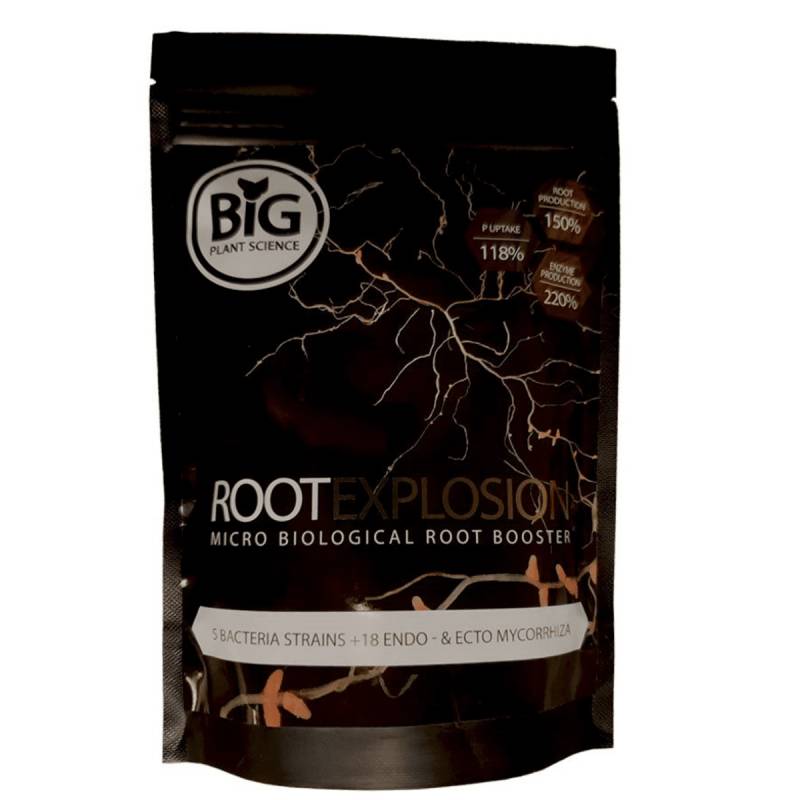 Root Explosion Big Plant Science