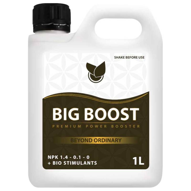 Big Boost: Optimal Vækstfremme For Stærkere Planter - Big Plant Science