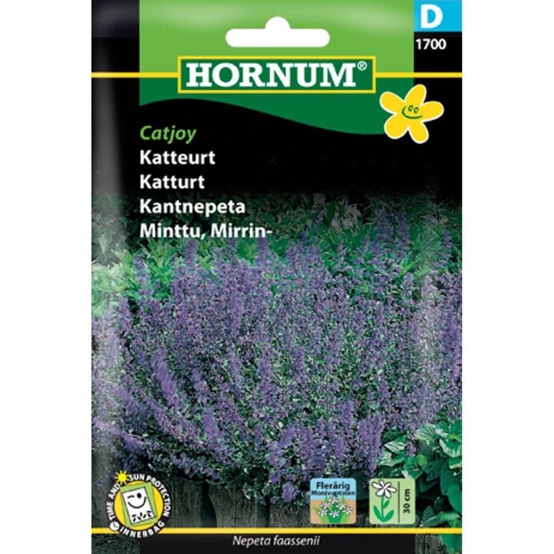 Katteurt - Catjoy, Frø - Kattemynte (d) Hornum