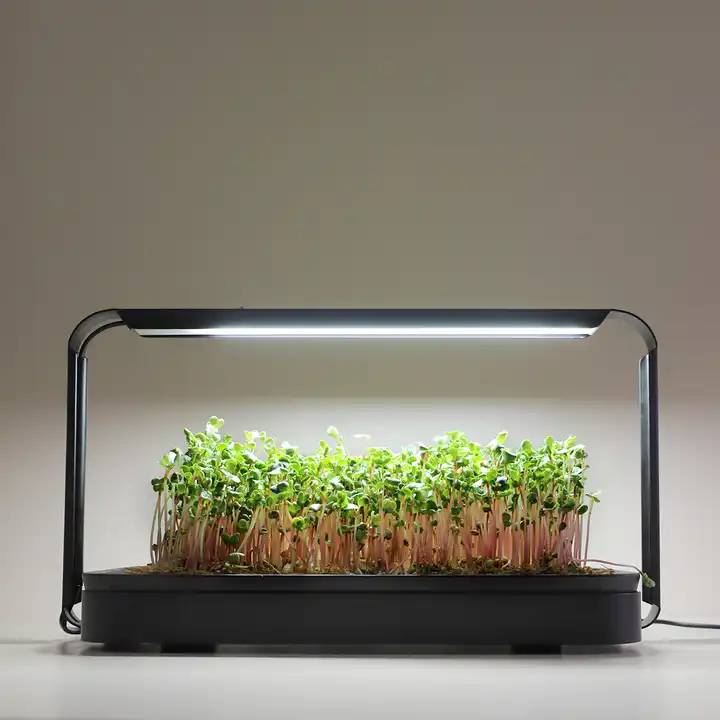 Microgreen Garden - Start Sæt For Sundt Mikrogrønt Dyrkning