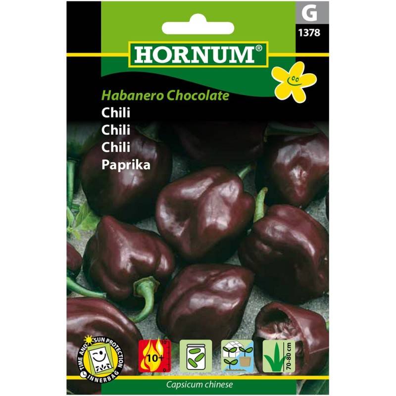 Habanero Chocolate - Chili Frø