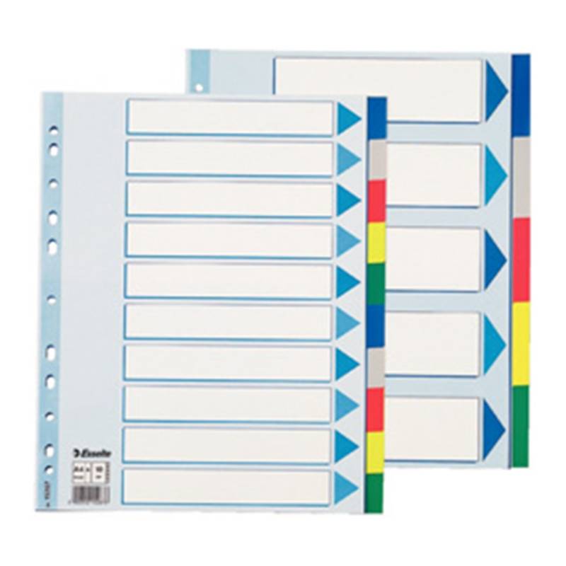 Faneblade Pp A4 Maxi 10delt Farvede Faner - Esselte