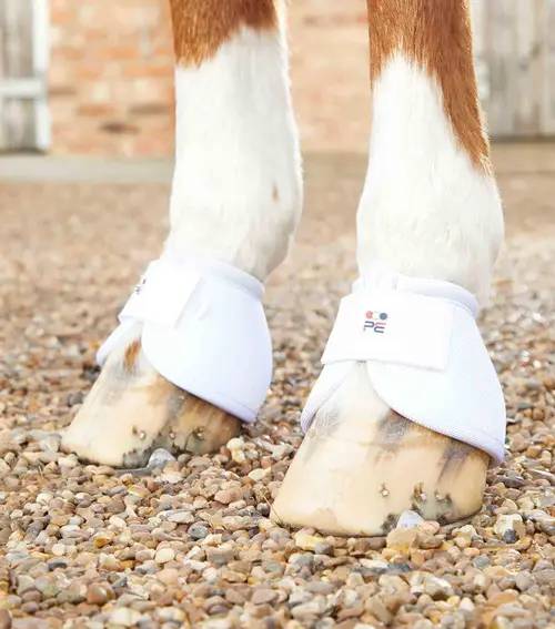 Premier Equine Ballistic No-Turn Klokker - Hvid - Xlarge
