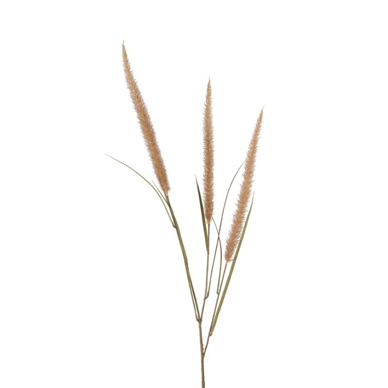 Fjerbørste Græs  H125cm 4077-70 - Mr Plant