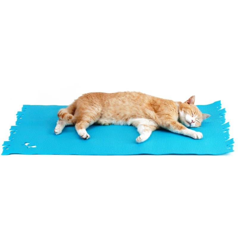 Car Pet Cat Multifunktionsmåtte Til Katte - Large