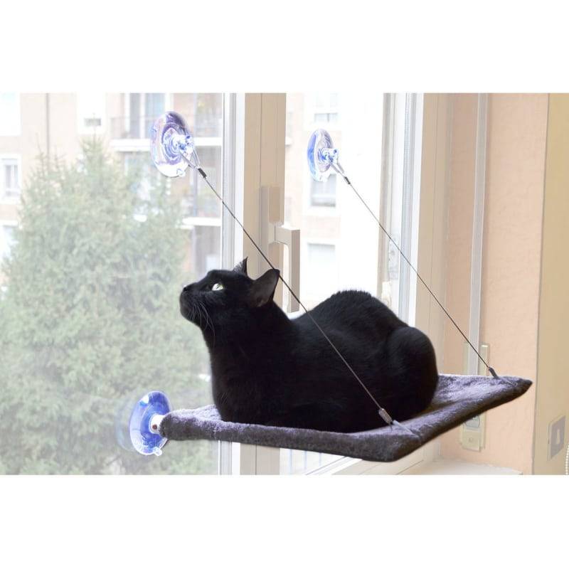 Cat View Vindueseng Til Katte - United Pets