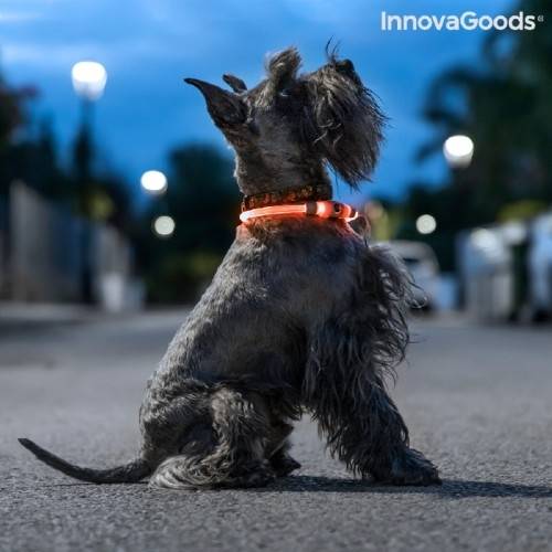 Led Krave Til Kæledyr Petlux - Innovagoods