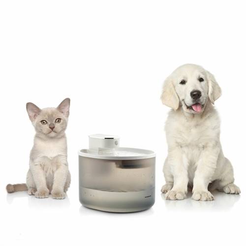 Genopladelig Drikkefontæne Til Katte Med Sensor - Innovagoods