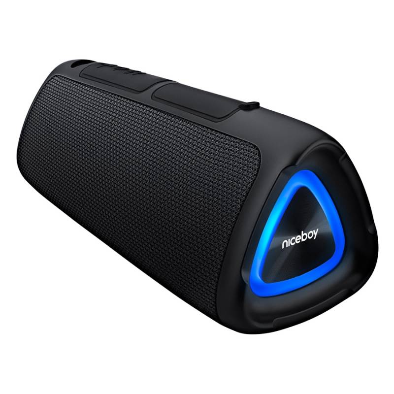 Niceboy Raze Fusion 10w Radio & Bluetooth Højtaler