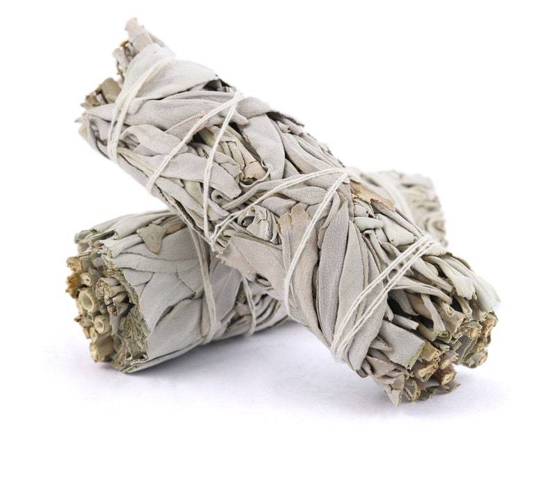 Salvie Smudging Stick (medium) - Naturligt Røgelsesbundt - Smudging - Soulsticks - Studiobuus