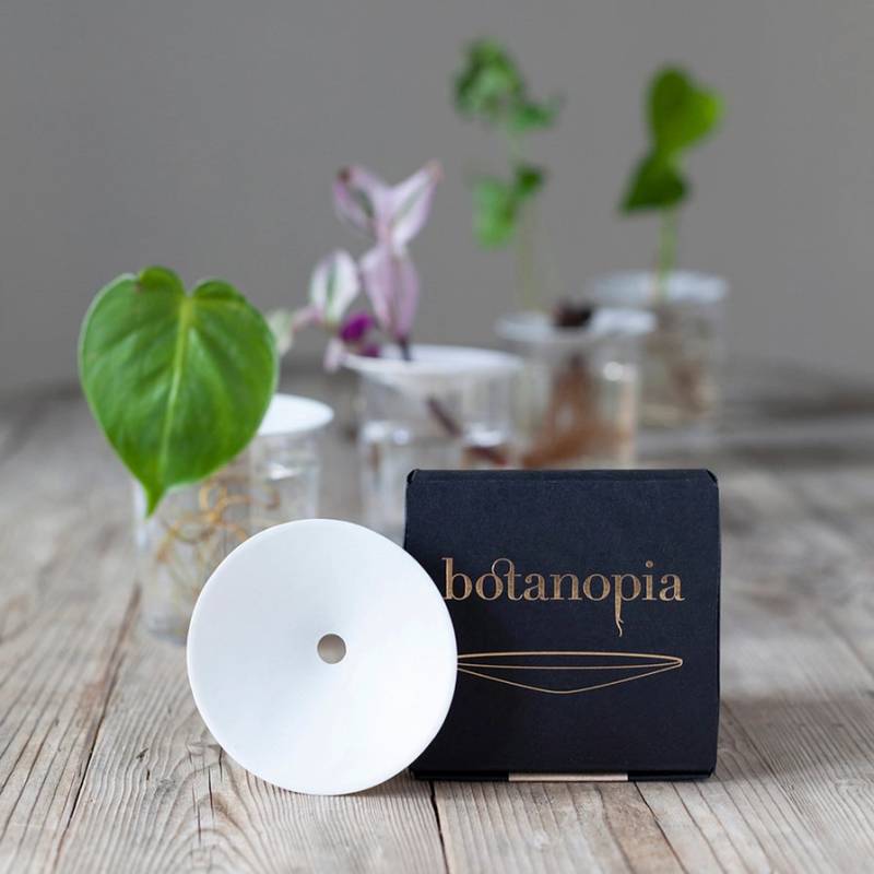 Spiringsskål Til Frø, Agern & Blomsterløg | Botanopia - Spireskål - Botanopia - Studiobuus