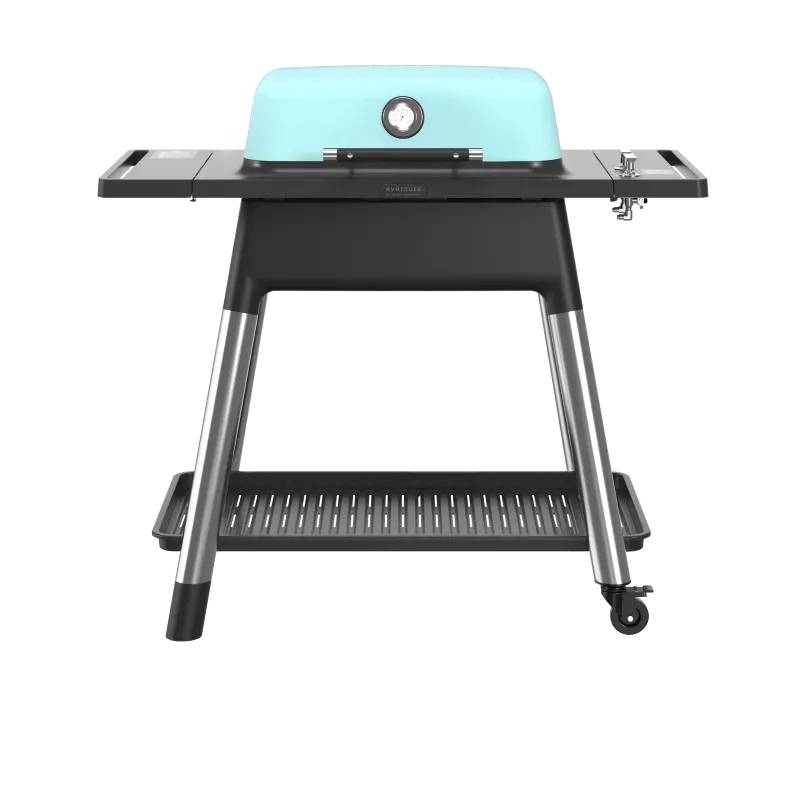 Everdure Gasgrill Force Ii Mat Mint