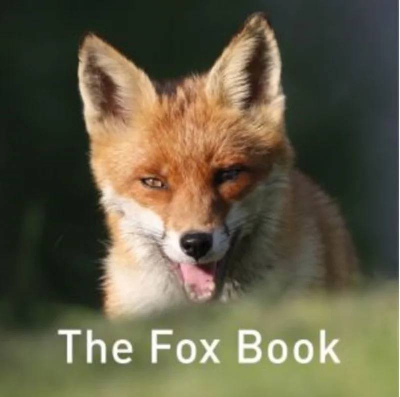 Nature Book Series: The Fox Book - Graffeg Limited