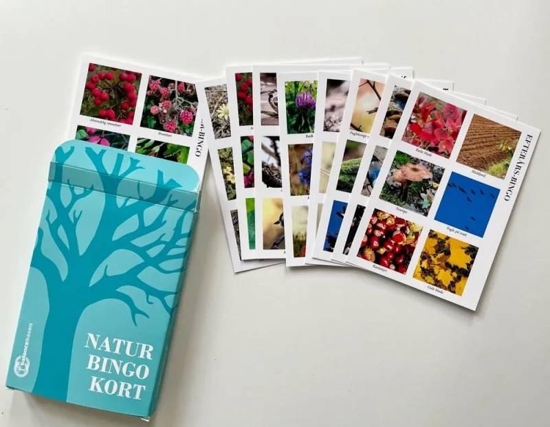 Natur-Bingo-Kort - Forlaget 4. Til Venstre